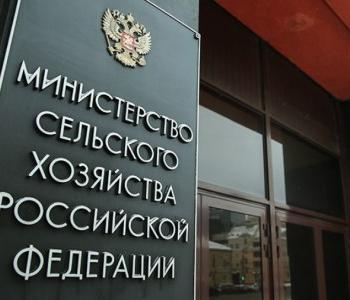 В департаменте растениеводства состоялось обсуждение последней редакции поправок в закон РФ «О семеноводстве»